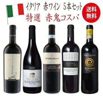 【全品P2倍★本日限り】　ワイン セット 送料無料 鬼コスパワイン イタリア プレミアム 5本セット 赤 ワイン セット 　ギフト 父の日 金賞 750ML おすすめ