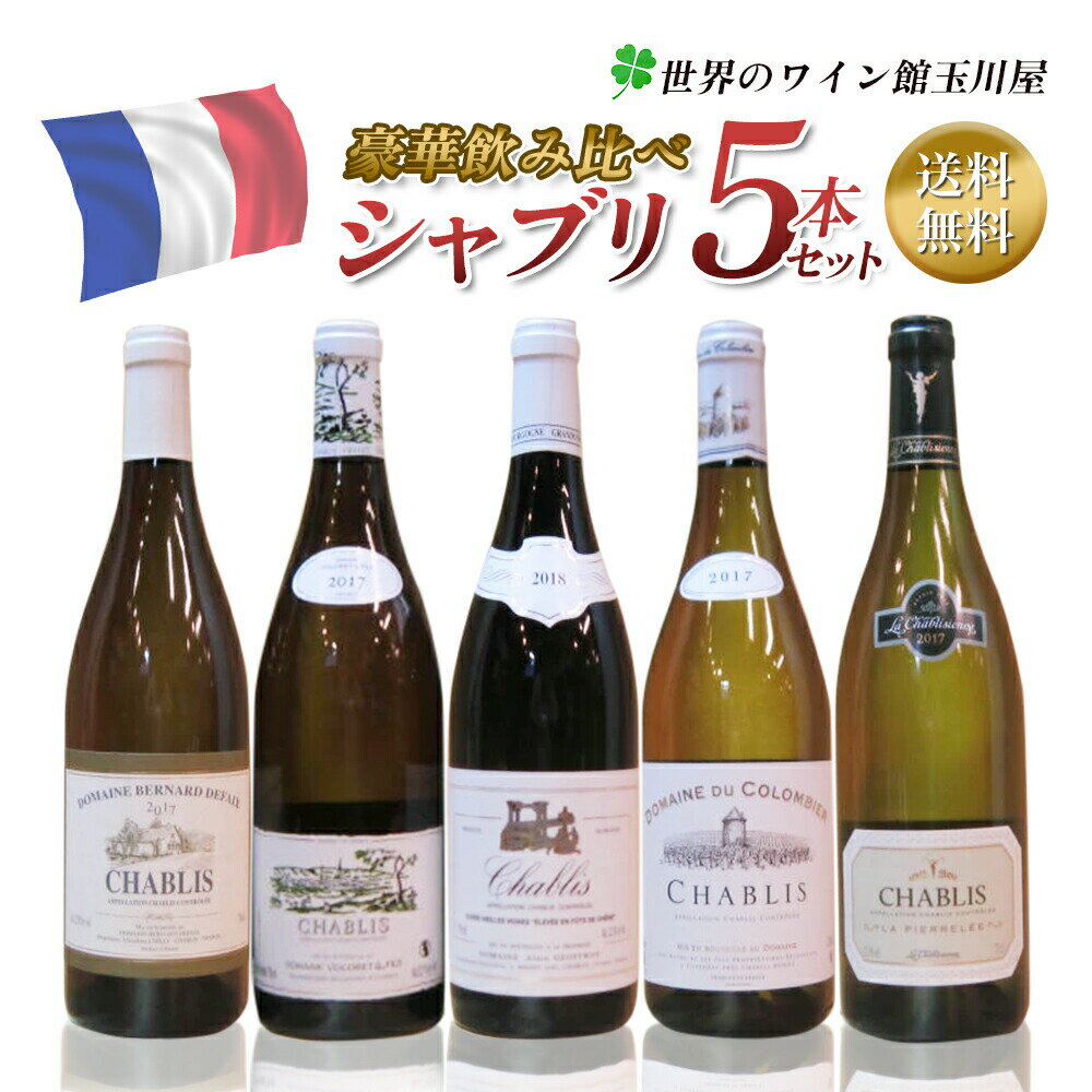 【全品最大P10倍★本日限り】　 シャブリ5本豪華ラインアップ 老舗ドメーヌのみくらべ wine 送料無料 ワイン くじ 福袋 ギフト 750ML おすすめ シャブリセット 　ギフト 父の日 金賞 750ML おすすめ