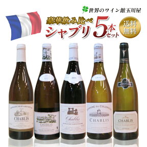 【全品P2倍★本日限り】　 シャブリ5本豪華ラインアップ 老舗ドメーヌのみくらべ wine 送料無料 ワイン くじ 福袋 ギフト 750ML おすすめ シャブリセット 　ギフト 母の日 金賞 750ML おすすめ