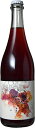 ySiőP10{{z@ Bep[ Park Wine Red p[NEC bh 2022 750ml ԃC@Mtg ̓  750ML 