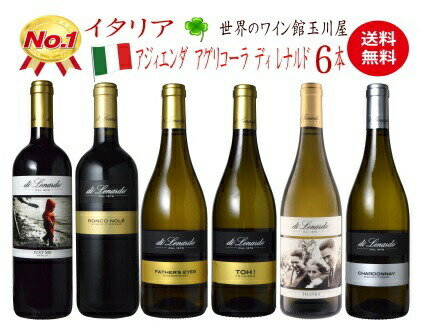 【全品最大P10倍★本日限り】　【ワインセット 送料無料】イタリア 赤白ワイン6本セット アジィエンダ アグリコーラ ディ レナルド　赤2 白4 750ML おすすめ　　　ギフト 父の日 金賞 750ML おすすめ