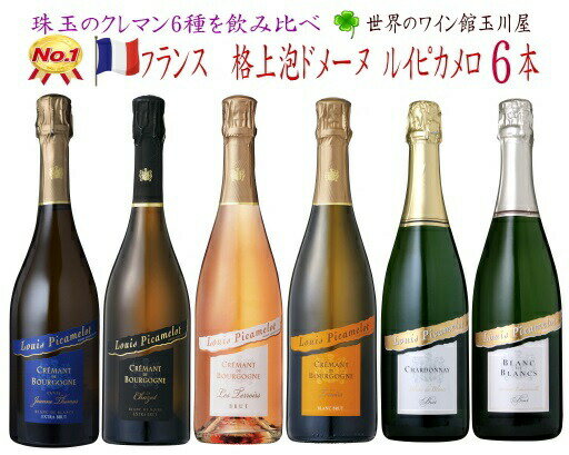 【全品最大P10倍★本日限り】　フランス クレマン ルイ ピカメロ 6本×750ml 飲み比べセット シャンパン製法 スパークリング カヴァ 泡　 　 　　ギフト 母の日 金賞 750ML おすすめ