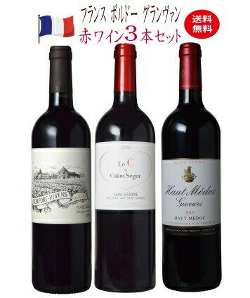 【全品P2倍＆クーポン付★本日限り】　【3本セット 送料無料】コスパ 赤ワインセット 750ml　フランス金賞　飲み比べ　　ギフト 母の日 金賞 750ML おすすめ