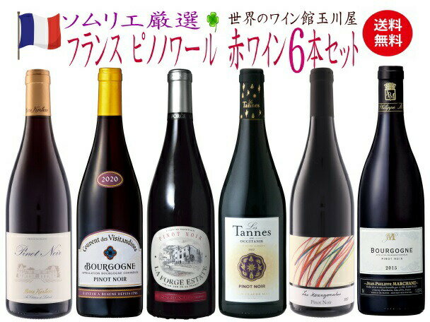 【全品最大P10倍★本日限り】　ピノ好き集合 銘醸地のピノ飲み比べ！ピノノワール6本セット 送料無料 ピノ・ノワール 赤 赤ワイン ワインセット　　ギフト 父の日 金賞 750ML おすすめ