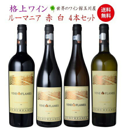 送料無料　ルーマニア　ヴァイン イン フレイム 4種飲み比べセット 生産者名 Viile Budureasca ヴィル・ブドゥレアスカ 商品名 Vine in Flames Cabernet Sauvignon ヴァイン・イン・フレイム カベルネ・ソーヴィニヨン ヴィンテージ 2019 容量 750ml 原産国 ルーマニア 地方・地区 ムンテニア デアル・マーレ 原産地呼称 D.O.C.デアル・マーレ 品種 カベルネ・ソーヴィニヨン 100% 醗酵 ステンレスタンク 熟成 オーク樽9カ月 平均年間生産量 ALC度数 14％ キャップ仕様 コルク 種類 スティルワイン 色 赤 味わい フルボディ 飲み頃温度 17℃ コメント カシスやブラックベリー、爽やかな新緑のような香りに、 黒コショウのニュアンス。酸は心地よく、しっかりとした 果実味にまろやかなタンニンが感じられる。 生産者名 Viile Budureasca ヴィル・ブドゥレアスカ 商品名 Vine in Flames Pinot Noir ヴァイン・イン・フレイム ピノ・ノワール ヴィンテージ 2021 容量 750ml 原産国 ルーマニア 地方・地区 ムンテニア デアル・マーレ 原産地呼称 D.O.C.デアル・マーレ 品種 ピノ・ノワール 100% 醗酵 ステンレスタンク 熟成 オーク樽12カ月 ALC度数 14％ キャップ仕様 コルク 種類 スティルワイン 色 赤 味わい ミディアムボディ 飲み頃温度 17℃ コメント 香りはラズベリーやチェリー、黒コショウにバニラのニュアンス。 酸は心地よく、ブラックチェリーの果実味にまろやかなタンニン が感じられる。 コンクール入賞歴 ジャパン ワインチャンレンジ プラチナ・ゴールド賞&最優秀ルーマニアワインアワード 生産者名 Viile Budureasca ヴィル・ブドゥレアスカ 商品名 Vine in Flames Chardonnay ヴァイン・イン・フレイム シャルドネ ヴィンテージ 2022 容量 750ml 原産国 ルーマニア 地方・地区 ムンテニア デアル・マーレ 原産地呼称 D.O.C.デアル・マーレ 品種 シャルドネ 100% 醗酵 ステンレスタンク及びオーク樽 熟成 オーク樽4カ月 平均年間生産量 ALC度数 14％ 種類 スティルワイン 色 白 味わい 辛口 飲み頃温度 13℃ コメント 力強いトロピカルフルーツの香りに、バニラのニュアンス。 厚みのある果実感に、心地よい酸としっかりとした樽感が 感じられます。 コンクール入賞歴 サクラ・アワード 金賞 ジャパン ワインチャンレンジ 金賞&最優秀ルーマニアワイン賞 サクラ・アワード ダブル金賞 ベルリーナ・ワイン・トロフィー 金賞 サクラ・アワード 金賞 コンクール・モンディアル・ド・ブリュッセル 金賞 生産者名 Viile Budureasca ヴィル・ブドゥレアスカ 商品名 Vine in Flames Feteasca Regala ヴァイン・イン・フレイム フェテアスカ・レガーラ ヴィンテージ 2020 容量 750ml 原産国 ルーマニア 地方・地区 ムンテニア デアル・マーレ 品質分類・原産地呼称 D.O.C.デアル・マーレ 品種 フェテアスカ・レガーラ 100% ALC度数 13.5％ キャップ仕様 コルク 種類 スティルワイン 色 白 味わい 辛口 飲み頃温度 11℃ コメント 白い花のような柔らかな香りが広がり、 味わいはアカシアの花のニュアンスに、 酸とアルコール感のバランスが心地よい。 ビオ情報 認証情報 コンクール入賞歴 サクラ・アワード 金賞 シーズンのご挨拶に お正月 賀正 新年 新春 初売 年賀 成人式 成人祝 節分 バレンタイン お花見 ゴールデンウィーク 端午の節句 お母さん お父さん お盆 御中元 お中元 中元 敬老の日 クリスマス お歳暮 御歳暮 ギフト プレゼント 贈り物 セット 日頃の贈り物に 御挨拶 引越しご挨拶 引っ越し 成人式 御成人御祝 お祝い 御祝い 内祝い 結婚祝い 結婚内祝い 結婚式 引き出物 引出物 引き菓子 誕生日 バースデー バースデイ バースディ 昇進祝い 昇格祝い 開店祝い 開店お祝い 開業祝い 周年記念 定年退職 贈答品 景品 コンペ 粗品 手土産 関連キーワード ワイン wine お酒 酒 アルコール 家飲み ホームパーティー バーベキュー 人気 ランキング お買い物マラソン 39ショップ 買いまわり 39ショップ キャンペーン 買いまわり 買い回り 買い周り マラソンセール スーパーセール マラソン ポイントバック ポイントバック祭 【ワイン通販】【通販ワイン】【楽天】【世界のワイン館 玉川屋】 【赤S】【送料無料S】【飲み比べS】 【贈り物】【ギフトラッピング可能】 【記念品】【記念】【厳選】【高級】 【お祝い】【引き出物】【結婚記念日】 【誕生祝 バースデー】【誕生日プレゼント】 【wineset】【のみくらべ】【グラスワイン】 【ネット販売】【4set】 【赤 白ワイン人気】【ポリフェノール 赤ワイン】 【ワイン セット】【ミックス ワイン セット】送料無料　ルーマニア　ヴァイン イン フレイム 4種飲み比べセット