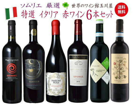 【全品P3倍＆クーポン付★本日限り】　【ワインセット 送料無料】ワインセット 赤 イタリア 6本セット　750ML 飲み比べ　　　ギフト 母の日 金賞 750ML おすすめ