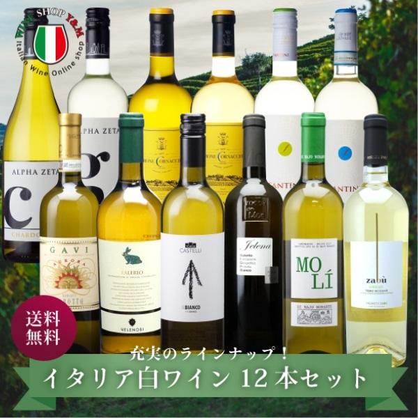 イタリアワイン 白ワインセット ジャケ買い ソムリエ 厳選 12本 土着品種 家飲み パーティー ご褒美