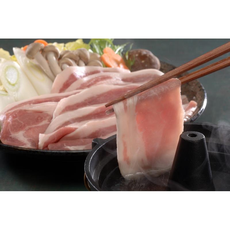 長野県産SPF豚しゃぶしゃぶ ロース 500g 鍋セット しゃぶしゃぶ 肉 しゃぶしゃぶセット しゃぶしゃぶ鍋 ギフト 冬ギフト 送料無料 母の日