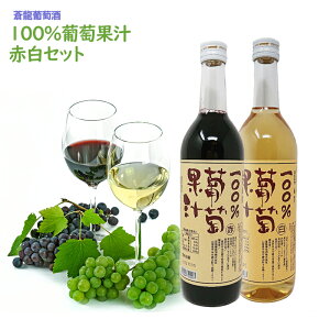 ジュース2本セット 蒼龍葡萄酒 赤白セット 日本 山梨 ぶどうジュース ジュースギフト 750ml ギフトボックス付き 詰め合わせ ブドウジュース お酒 ギフト プレゼント 送料無料 葡萄ジュース 高級 父の日