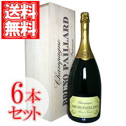 ブルーノ・パイヤール・エクストラ・ブリュット・プルミエール・キュヴェ ブルーノ・パイヤール 6本セット 3000ml シャンパーニュ スパークリングワイン 泡 家飲み 宅飲み wine wain クリスマス 御歳暮 お歳暮