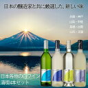 日本各地の葡萄で作った白ワイン満喫4本セット 辛口 中口 白ワイン 750ml 日本ワイン 国産 日本 アデカ ワイン ギフト 送料無料 母の日