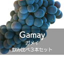 ガメイ飲み比べ3本セット(4)