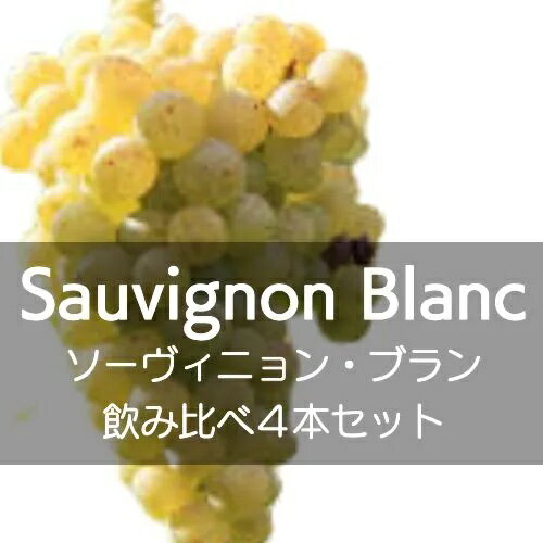 Rakuten - ソーヴィニョン・ブラン飲み比べ4本セット【ワインセット】