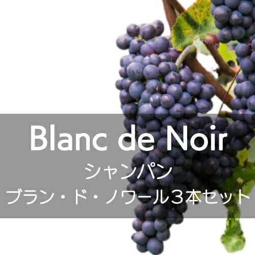 シャンパン、飲み比べブラン・ド・ノワール3本セット【ワインセット】