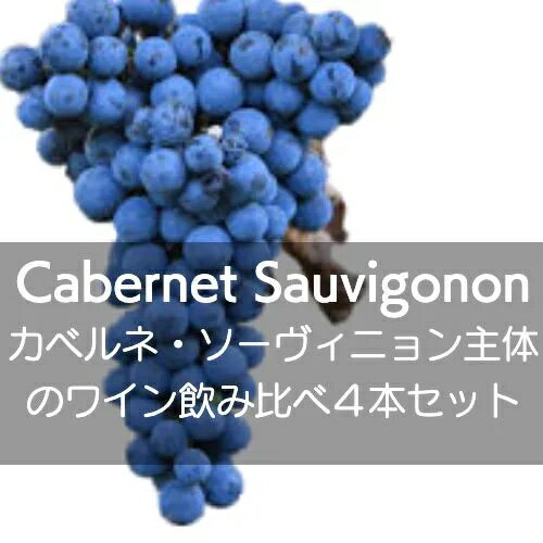 �����������ϰ�Υ��٥�͡����������˥����ΤΥ磻��������4�ܥ��åȡ��ڥ磻�󥻥åȡ�