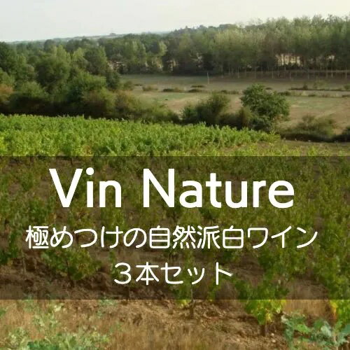 �ˤ�Ĥ��μ�������磻�󡪡ڥ磻�󥻥åȡ�