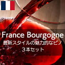 楽天ワイン通販ワインホリックフランス・ブルゴーニュ・最新スタイルの魅力的なピノ・ノワールを堪能する【ワインセット】