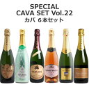 【送料無料】＜第22弾＞　カバ6本セ