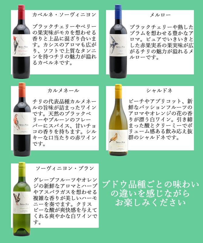 ������̵���ۥ�����ȴ�����ǥ롦������ ����磻��5�ܥ��åȡ�750ml��5�ܡ˥ӥ����롡�����饨���롡�ӡ��˥㡦�ǥ롦�ڥɥꥬ�롡�������