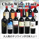 【送料無料】<第6弾> チリワイン12本セット(赤12本) ※同梱不可 【あす楽対応_関東】【smtb-T】 赤S 【送料無料】<第6弾> チリワイン12本セット(赤12本) ※同梱不可 【あす楽対応_関東】【smtb-T】 赤S
