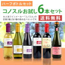 コノスル/　ハーフサイズ6本セット　375ml×6本　《送料無料》