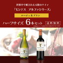 モンテス アルファシリーズ 赤・白 ハーフボトル 6本セット 375ml×6本 《送料無料》