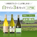 本格派ブルゴーニュが楽しめる 白ワイン3本セット入門編 送料無料
