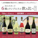 カビッキオーリ 6種のランブルスコ 飲み比べ 750ml×6本セット 送料無料