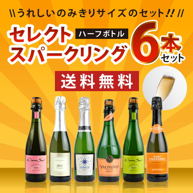 セレクト　スパークリングワイン　ハーフサイズ　6本セット　375ml×6本　《送料無料》