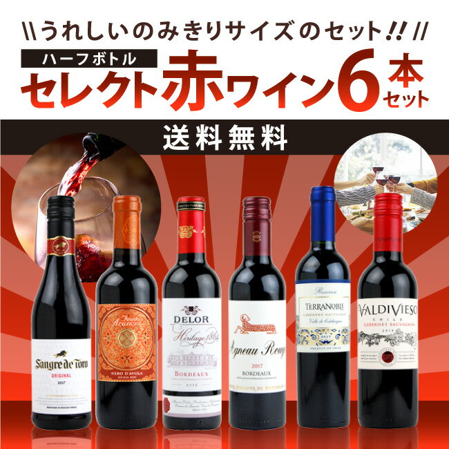 セレクト　ハーフボトルワインセット　赤ワイン　6本セット　375ml×6本　送料無料/