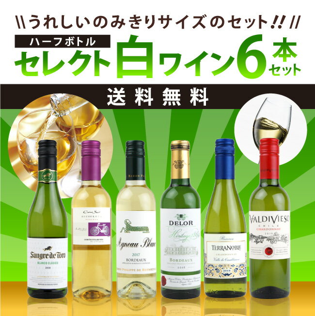 セレクト　ハーフボトルワインセット　白ワイン　6本セット　375ml×6本　《送料無料》