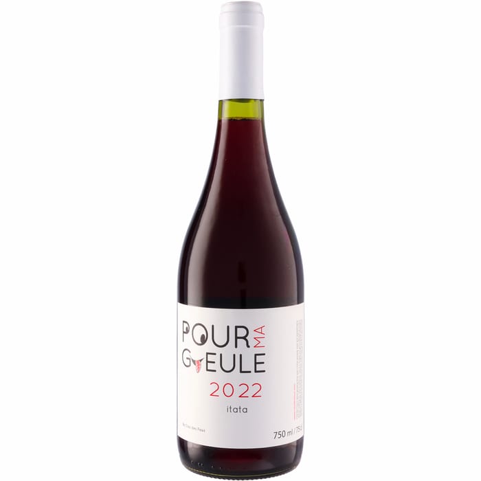 ●クロ デ フ プール マ ギュール  750ml 赤Clos des Fous Pour Ma Gueule assemblage Itata