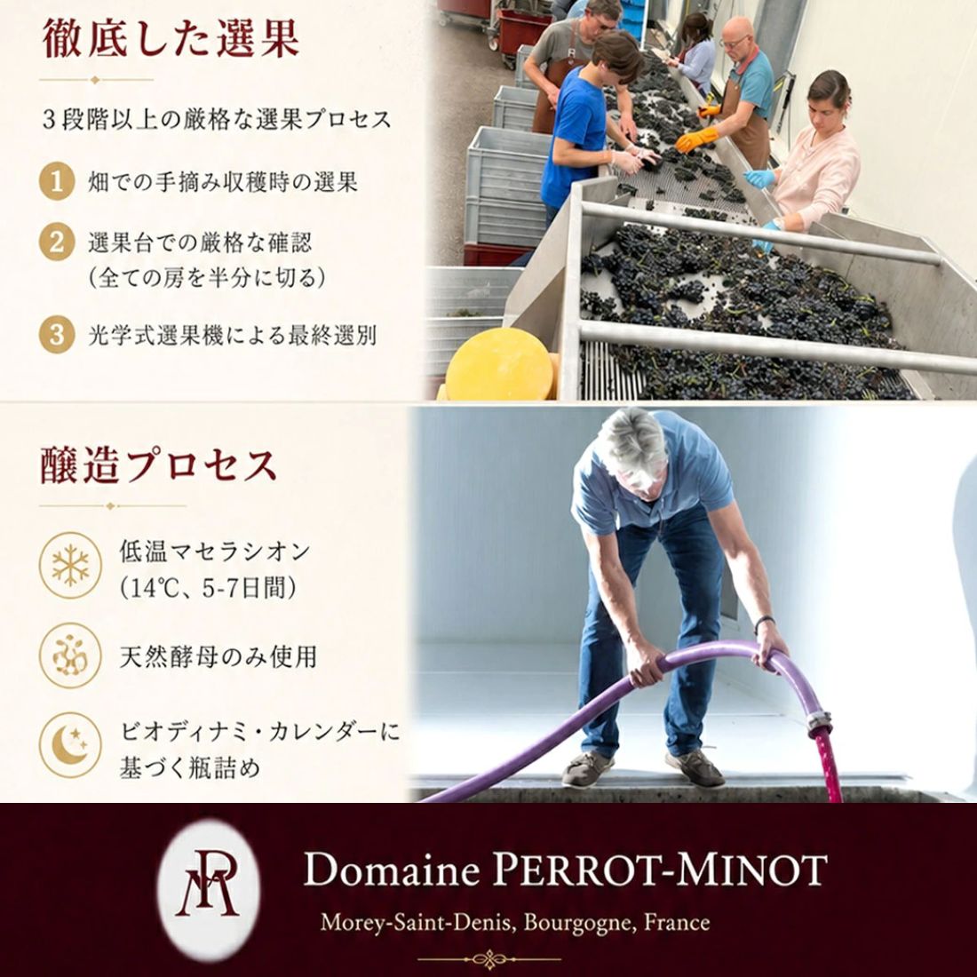 ドメーヌ ペロ ミノ シャンボール ミュジニー レ フュエ VV [2022] 750ml 赤DOMAINE PERROT MINOT CHAMBOLLE MUSIGNY 1ER CRU LES FUEES VIEILLES VIGNES winenation-10017079 WINE NATION 楽天市場店 サンプル画像3