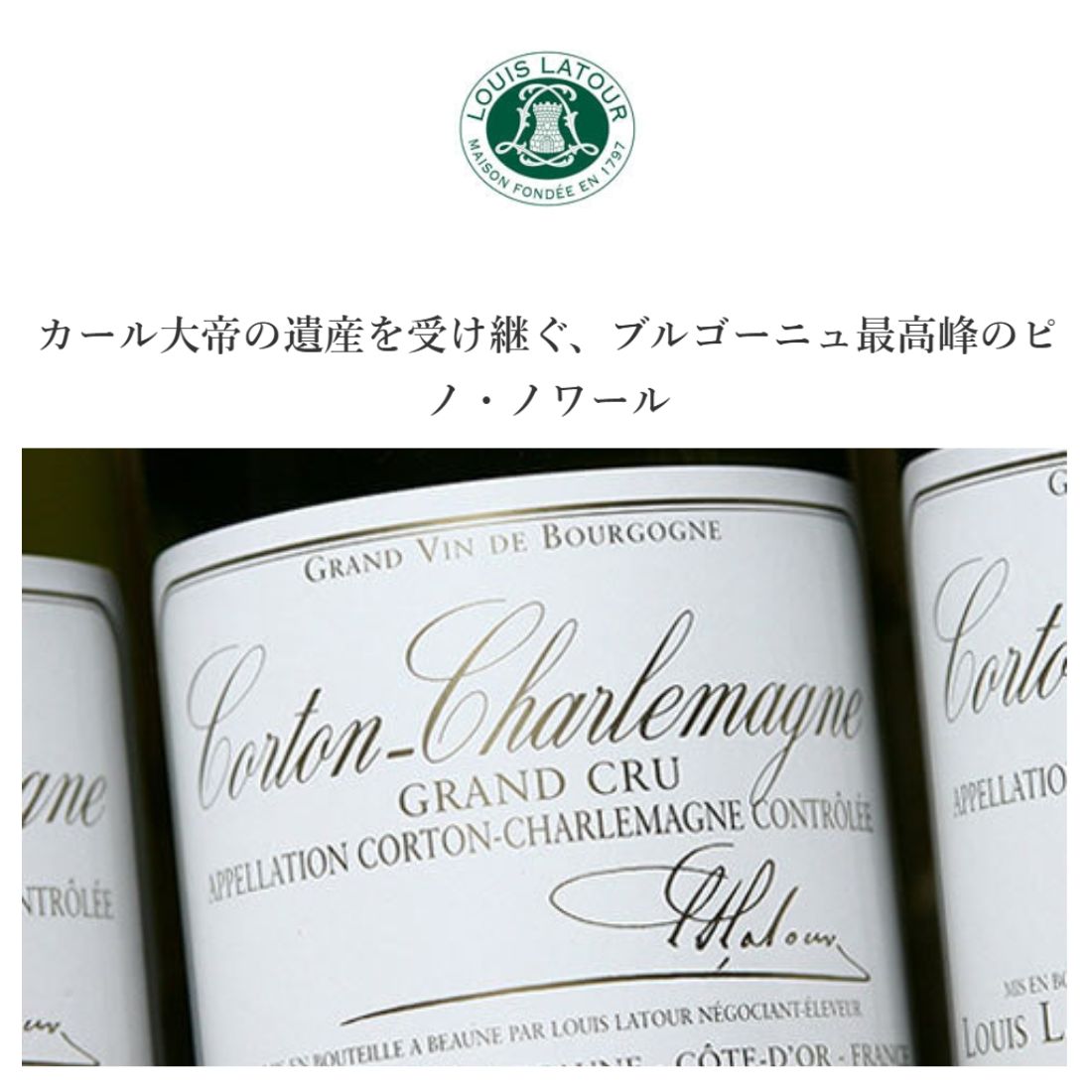 ●ルイ ラトゥール ブルゴーニュ ピノ ノワール デミ [2023] 375ml 赤LOUIS LATOUR BOURGOGNE PINOT NOIR demi winenation-10026689 WINE NATION 楽天市場店 サンプル画像2