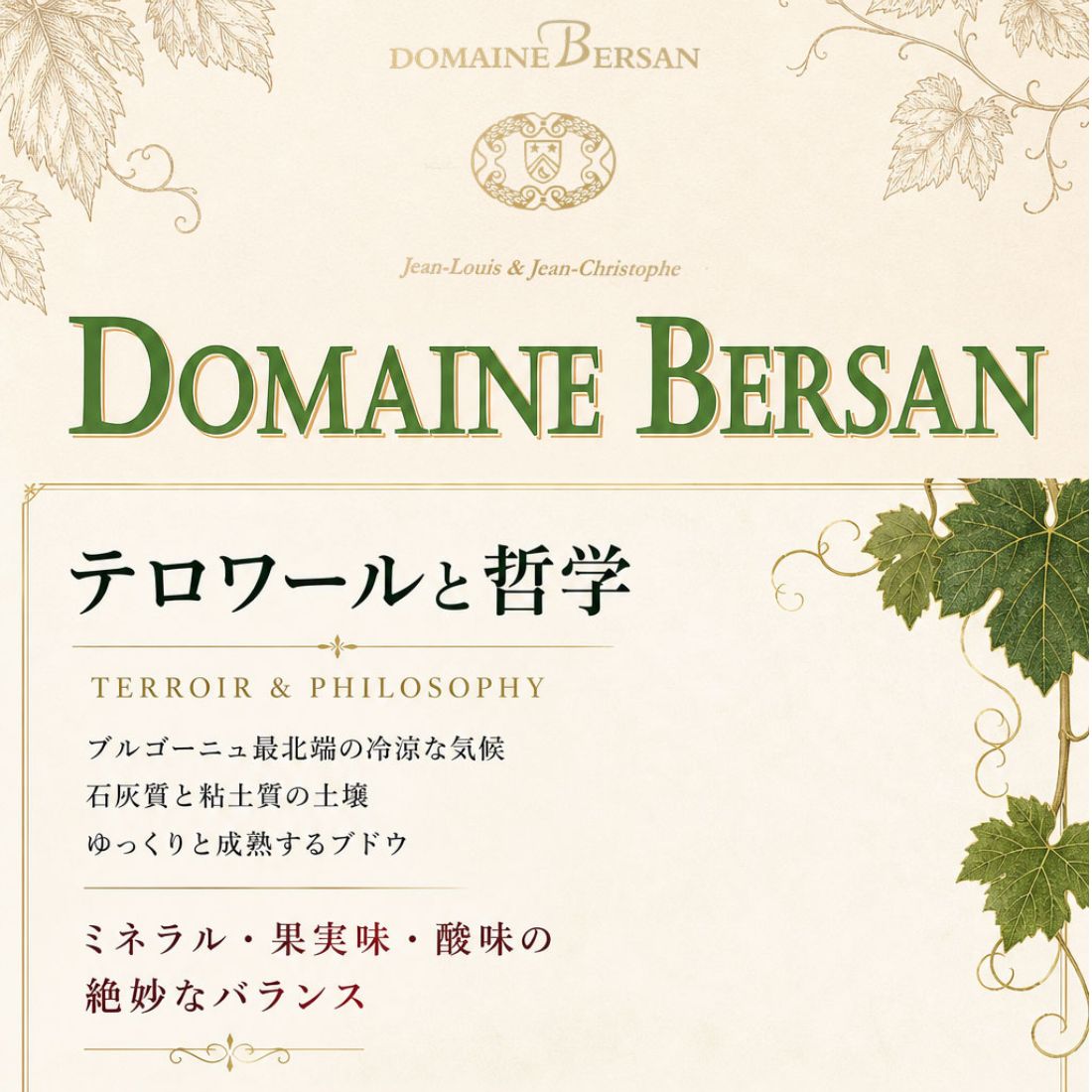 ドメーヌ ベルサン ブルゴーニュ コート ドーセール シャルドネ [2023] 750ml 白DOMAINE BERSAN BOURGOGNE COTES D'AUXERRE CHARDONNAY winenation-10016168 WINE NATION 楽天市場店 サンプル画像3