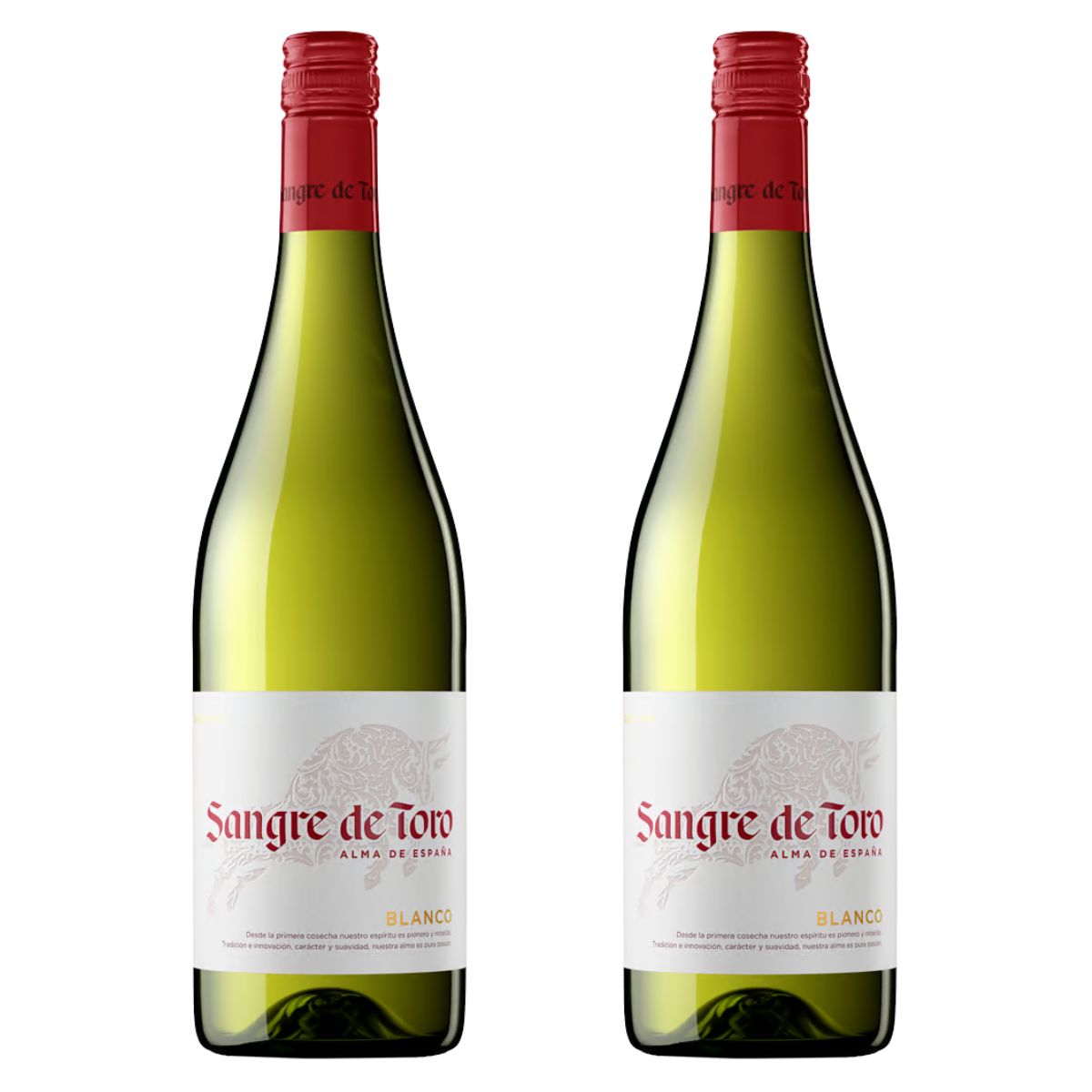 ワインセット トーレス サングレ デ トロ ブランコ 白 750ml×2本セット 送料無料