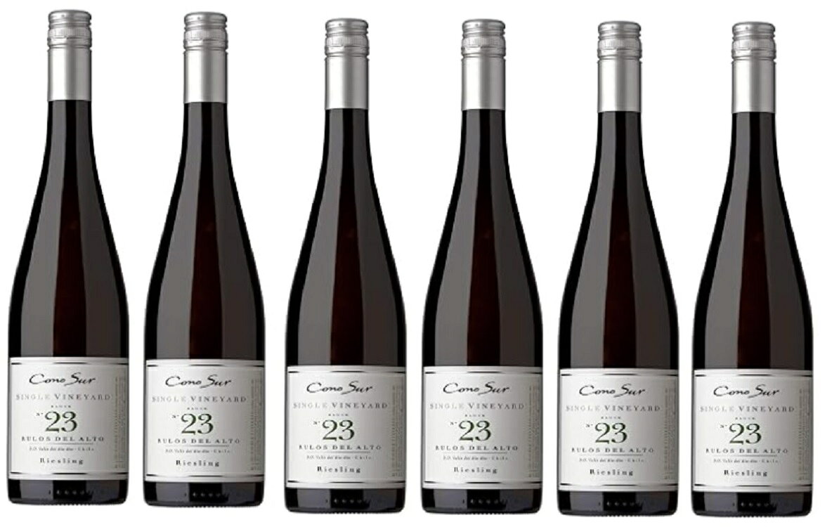 ワインセット コノスル シングル ヴィヤード リースリング 6本セット 750ml 白 送料無料