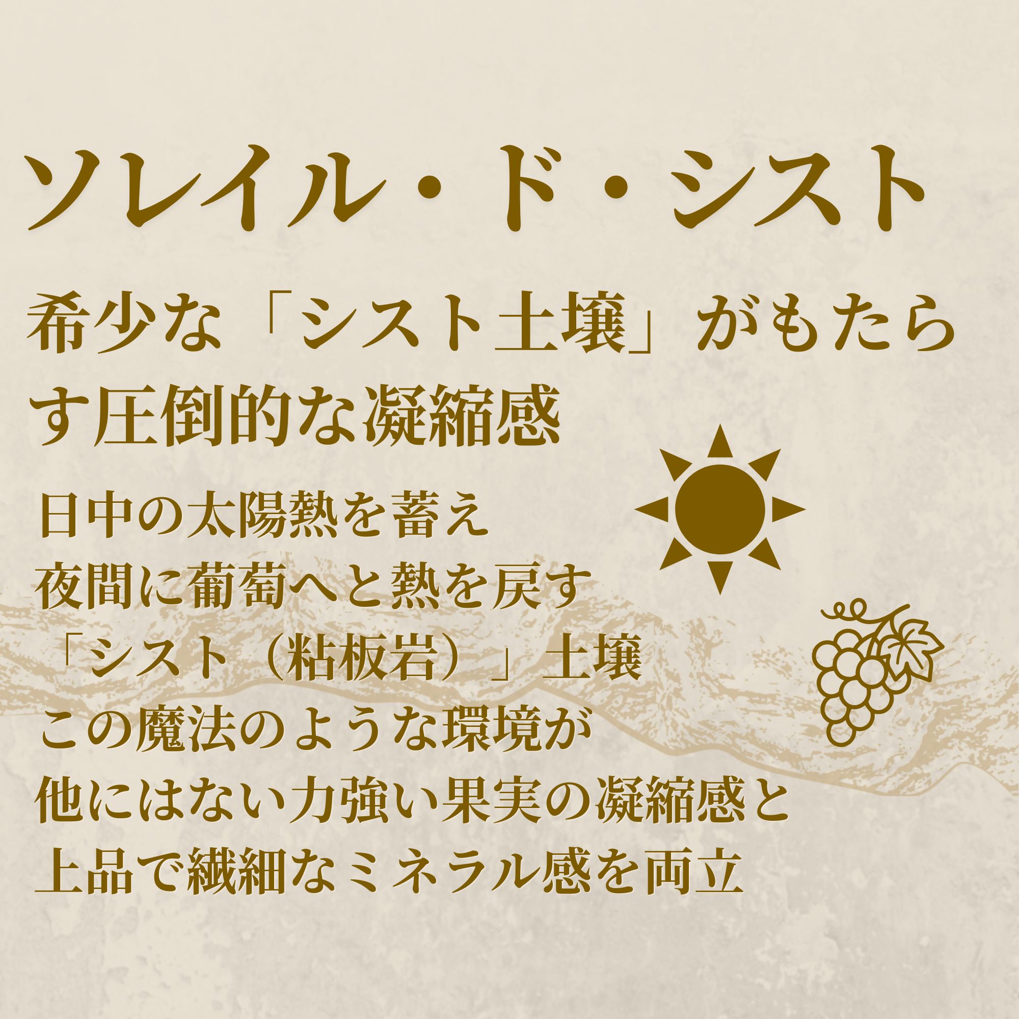 敬老の日 赤ワイン 金賞 フルボディ 辛口 ナチュラル シラー 750ml フランス 自然派 マコンワインコンクール 高級 ギフト 誕生日 プレゼント 初心者おすすめ 果実味 濃厚 AOP ラングドック 送料無料 ソレイル ド シスト winenot-10000021 Winenot 楽天市場店 サンプル画像3