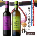 【3/21(木)20:00～3/27(水)01:59までポイント5倍！】お酒 プレゼント 赤ワイン 白ワイン フランス産 フランスワイン 2本セット お誕生日 結婚祝い 送料無料