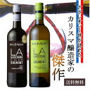 【300円クーポン有】父の日 早割 ワイン ワインセット 送料無料 赤白 紅白 2本 御祝 お誕生日 プレゼント 誕生日プレゼント 楽天スーパーセール 楽天スー...