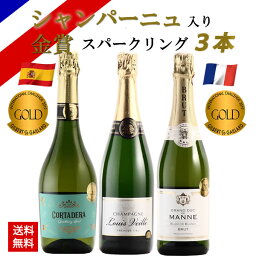 ワイン セット お酒 プレゼント シャンパン スパークリングワイン 飲み比べ 金賞受賞 フランス産 スペイン産 辛口 3本セット お誕生日 送料無料