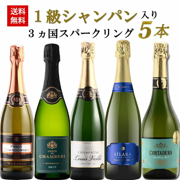 【6/4(火)20:00～6/11(火)01:59まで最大50％OFF!】父の日 ワイン セット お酒 プレゼント シャンパン スパークリングワイン 飲み比べ 金賞受賞 フランス産 スペイン産 辛口 5本セット お誕生日 送料無料