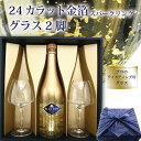 【300円クーポン有】父の日 早割 金箔スパークリングワイン 金箔入りスパークリングワイン グラス 結婚祝い 御祝 お誕生日 プレゼント 誕生日プレゼント 楽天...