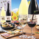 お中元 御中元 おすすめ ワイン 3000円 人気 赤ワイン 白ワイン フランス ワインセット 赤白 紅白 2本 送料無料 御祝 お誕生日 プレゼント 誕生日プレゼント