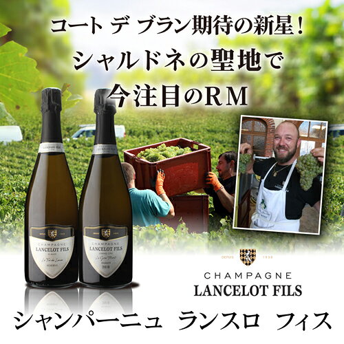 シャンパーニュ ランスロ フィスル フェール ド ランス 750mlコート デ ブラン アヴィズ シャンパン 辛口 ブラン ド ブラン エクストラ ブリュット 浜運A お祝い ギフト プレゼント ギフト パーティー 退職祝い 就職祝い 送別会 新生活 キャンプ アウトドア winepro-10002557 WINE PRO楽天市場店 サンプル画像3