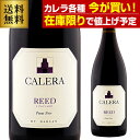 【12,980円→特価10,384円 20%OFF 8/15~18 24時迄】【在庫限りで値上げ予定】送料無料カレラ リード ピノ ノワール 2017正規品 アメリカ カリフォルニア お祝い ギフト 浜運A お中元 御中元 アウトドア
