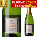 【800円OFFクーポン 6/1~2 9:59まで】1本あたり665 円(税込) 送料無料 プルビウム ブリュット ブラン ド ブラン 750ml 12本入スペイン ワインケース スパークリングワイン 白泡 辛口 浜運 父の日 アウトドア