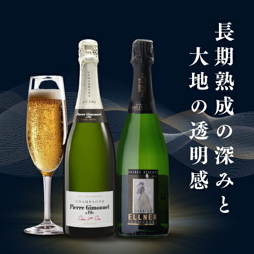 【ワインの日 1,000円OFFクーポン】【1本/5,400円】送料無料 有名銘柄入！ プレステージシャンパン2本セット 750ml 2本入シャンパン シャンパーニュ シャルル エルネー ピエール ジモネ シャンパンセット ワインセット 浜運A7/20 23:59　まで winepro-10008339 WINE PRO楽天市場店 サンプル画像2