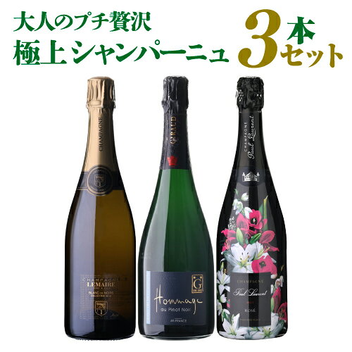 【ロコニー】アンリジロー 2本セット ロコニー】アンリジロー 2本セット 抜群の高級感で特別な夜に！ アンリ