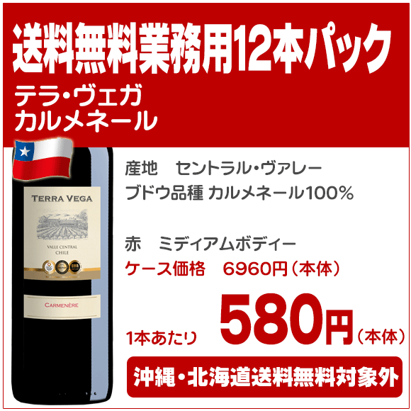 テラ・ヴェガ カルメネール【送料無料　業務用12本パック】